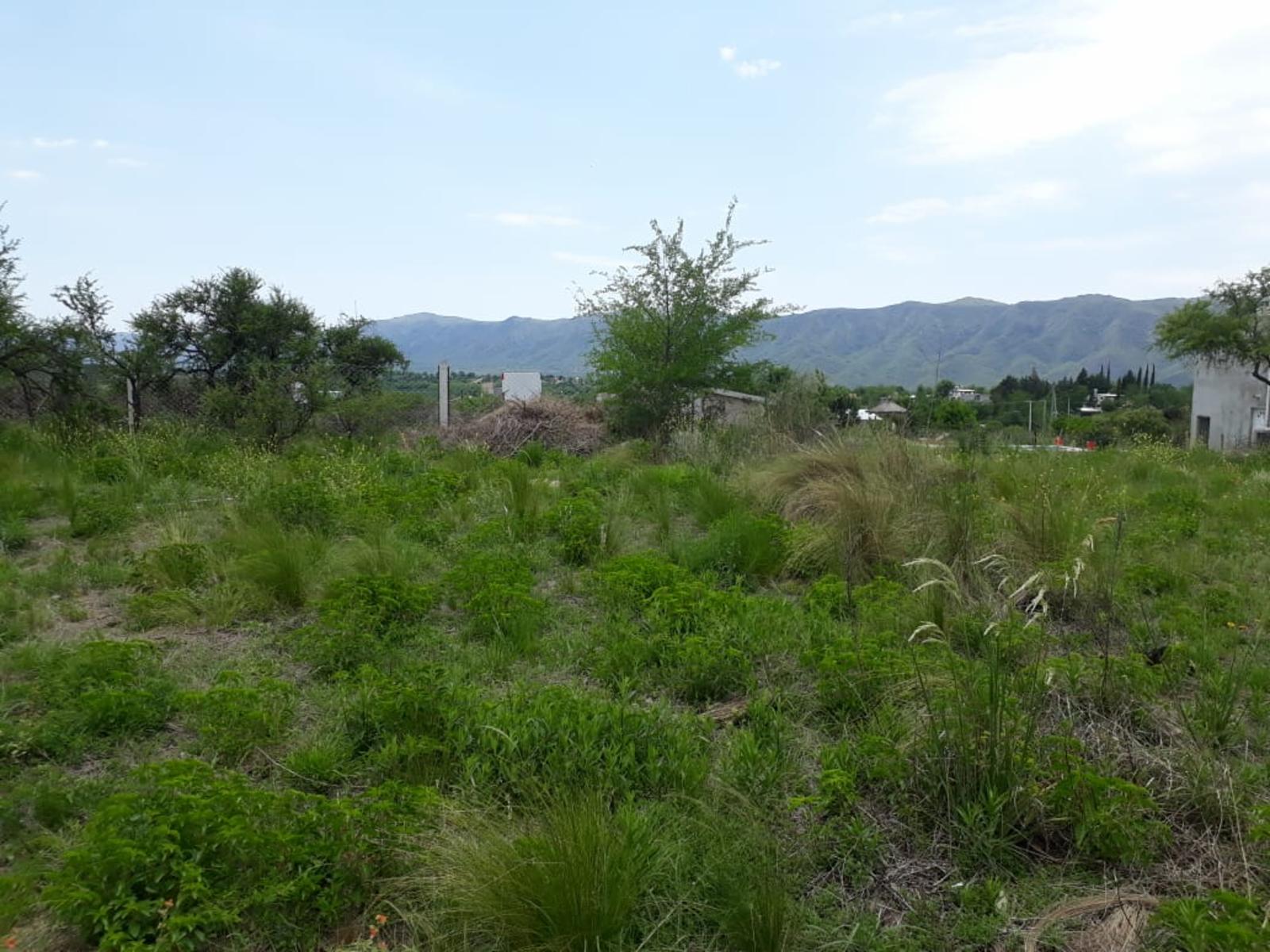 los cocos · Punilla — foto 6