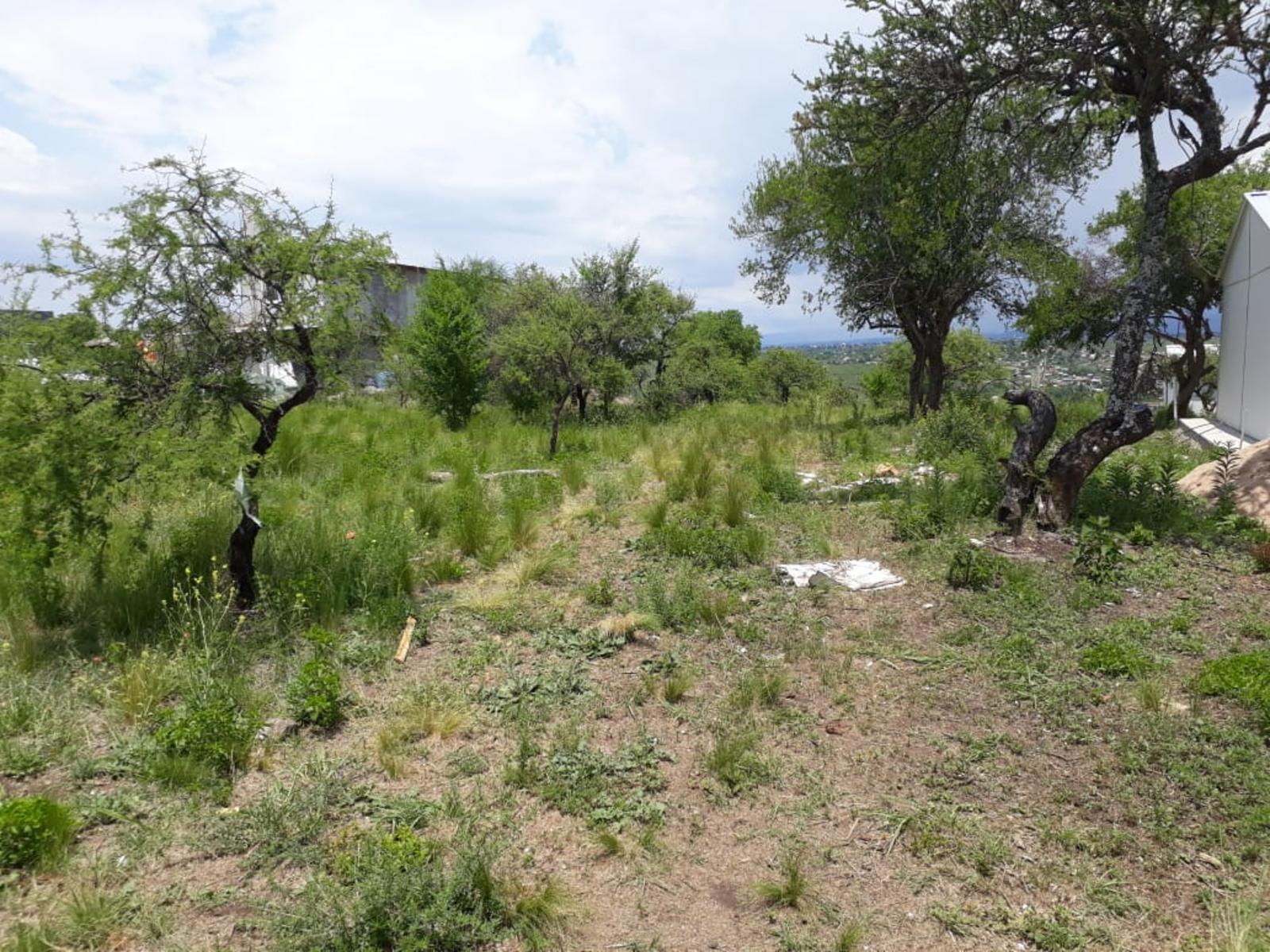 los cocos · Punilla — foto 10