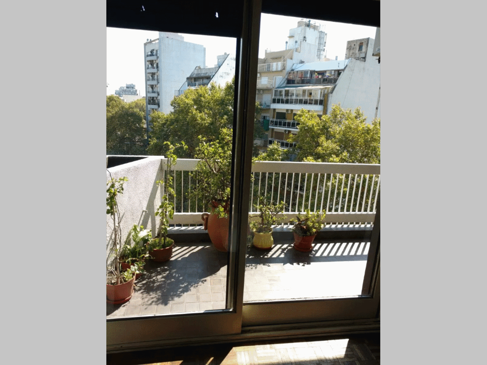 Avenida San Martín 1500 · Caballito — foto 4