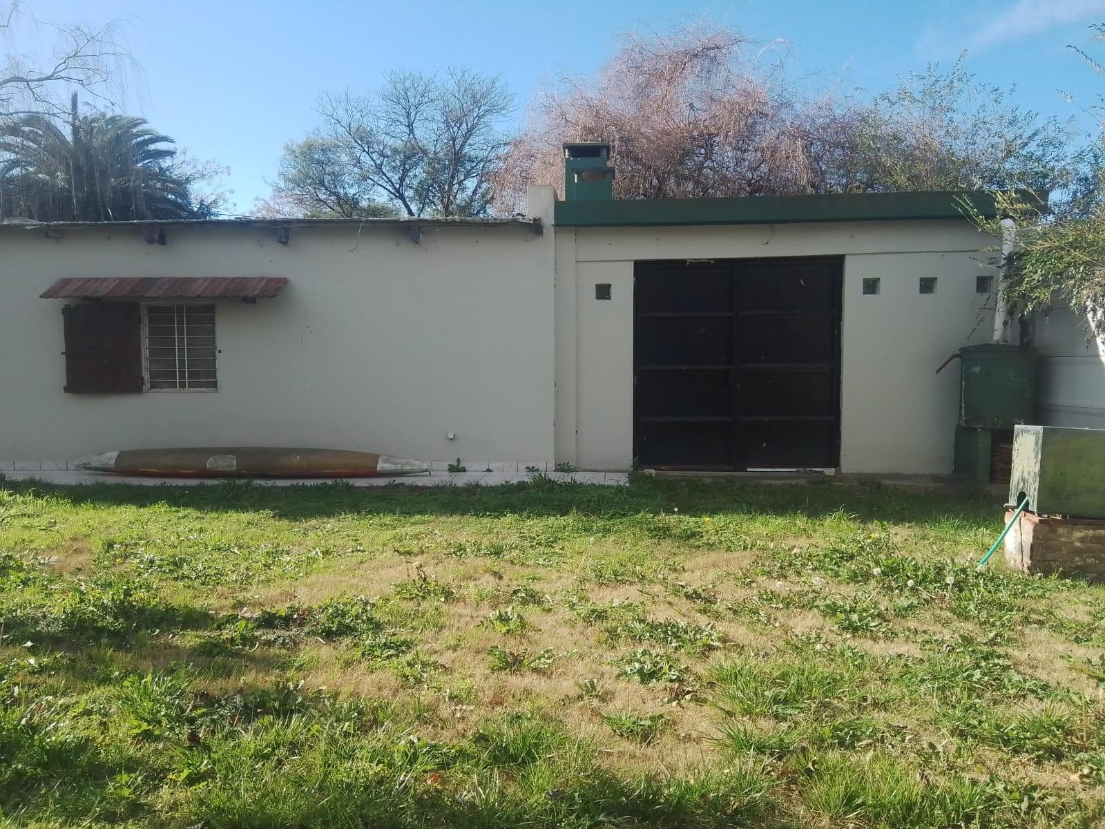 33 Y 3 · Lobos — foto 15