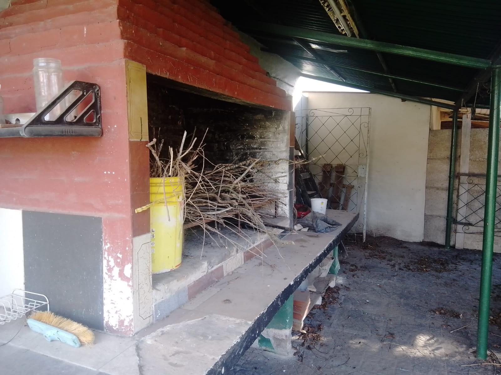 33 Y 3 · Lobos — foto 18