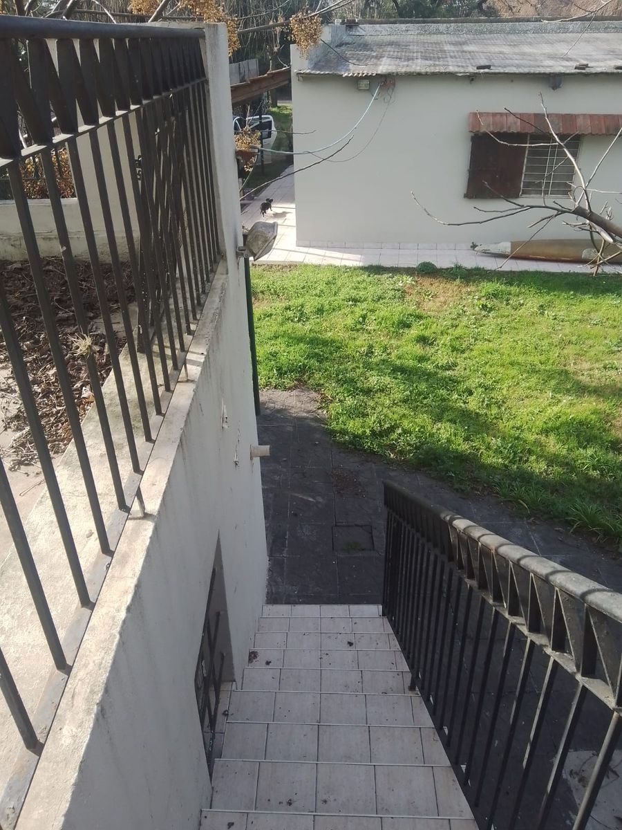 33 Y 3 · Lobos — foto 30