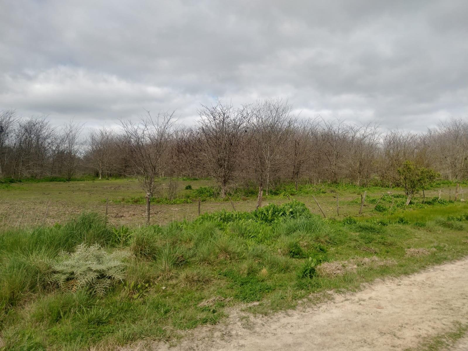 Autovía 2 y Conrado Villegas · Chascomus — foto 12