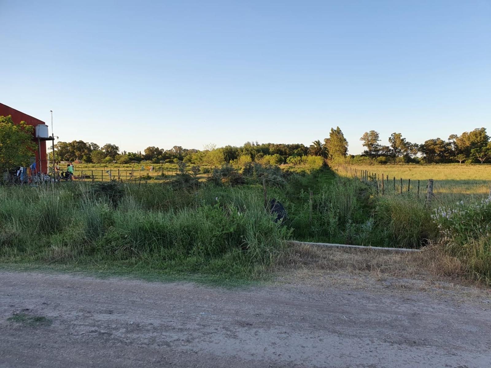 Autovía 2 y Conrado Villegas · Chascomus — foto 5