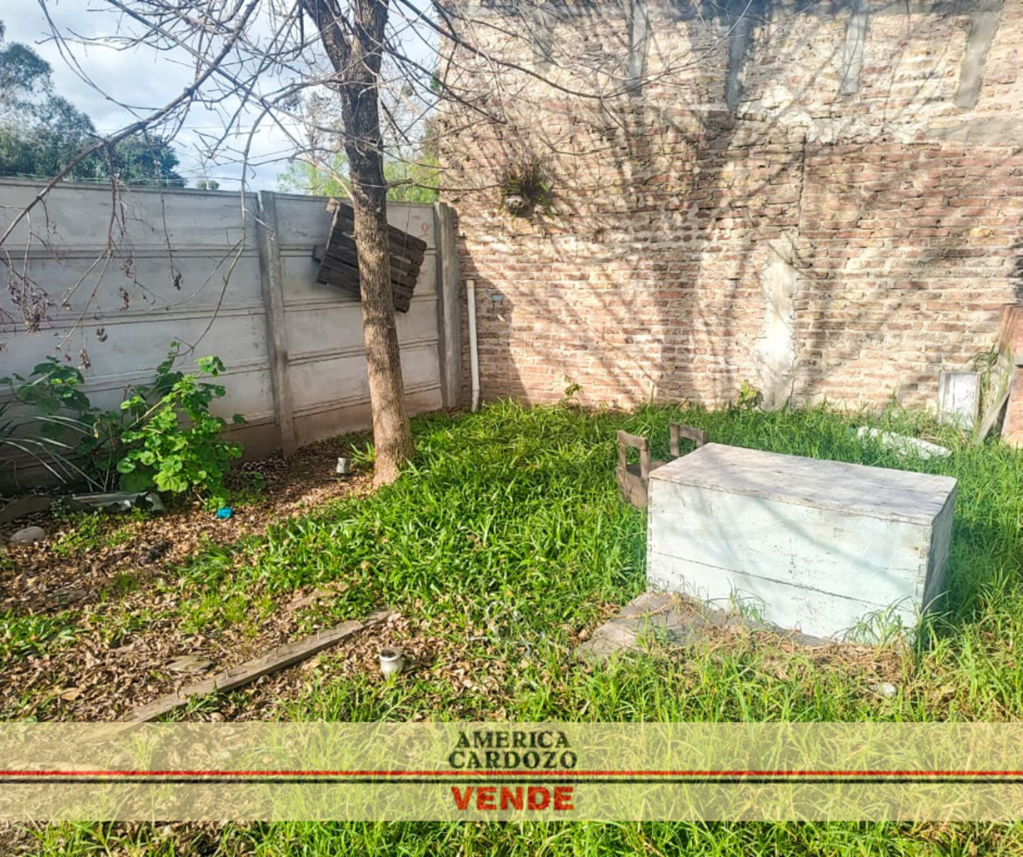 TRENQUE LAUQUEN 941 · Moreno — foto 8