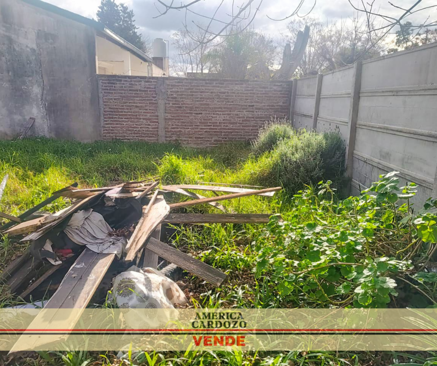 TRENQUE LAUQUEN 941 · Moreno — foto 9