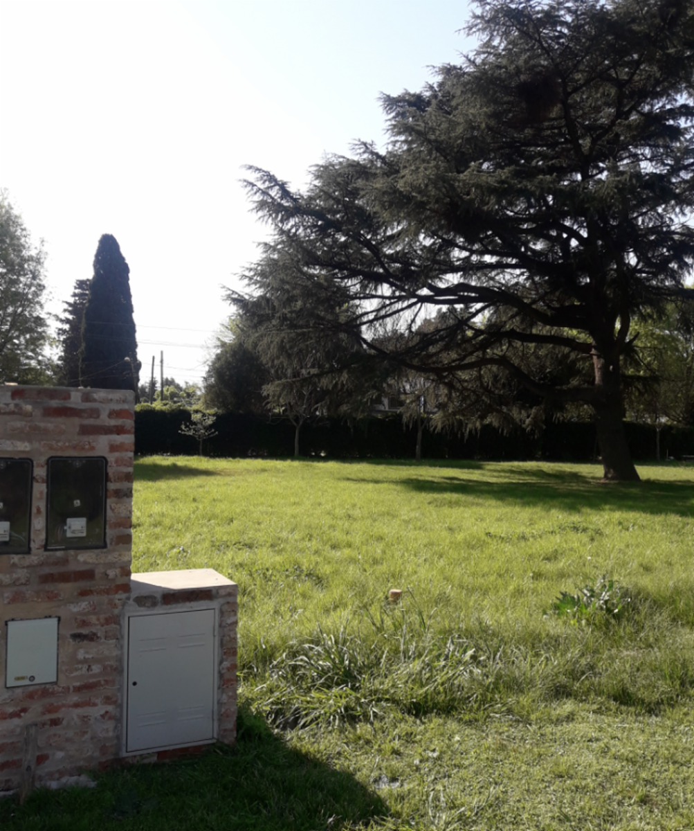 Pio XII 3500 · Moreno — foto 6