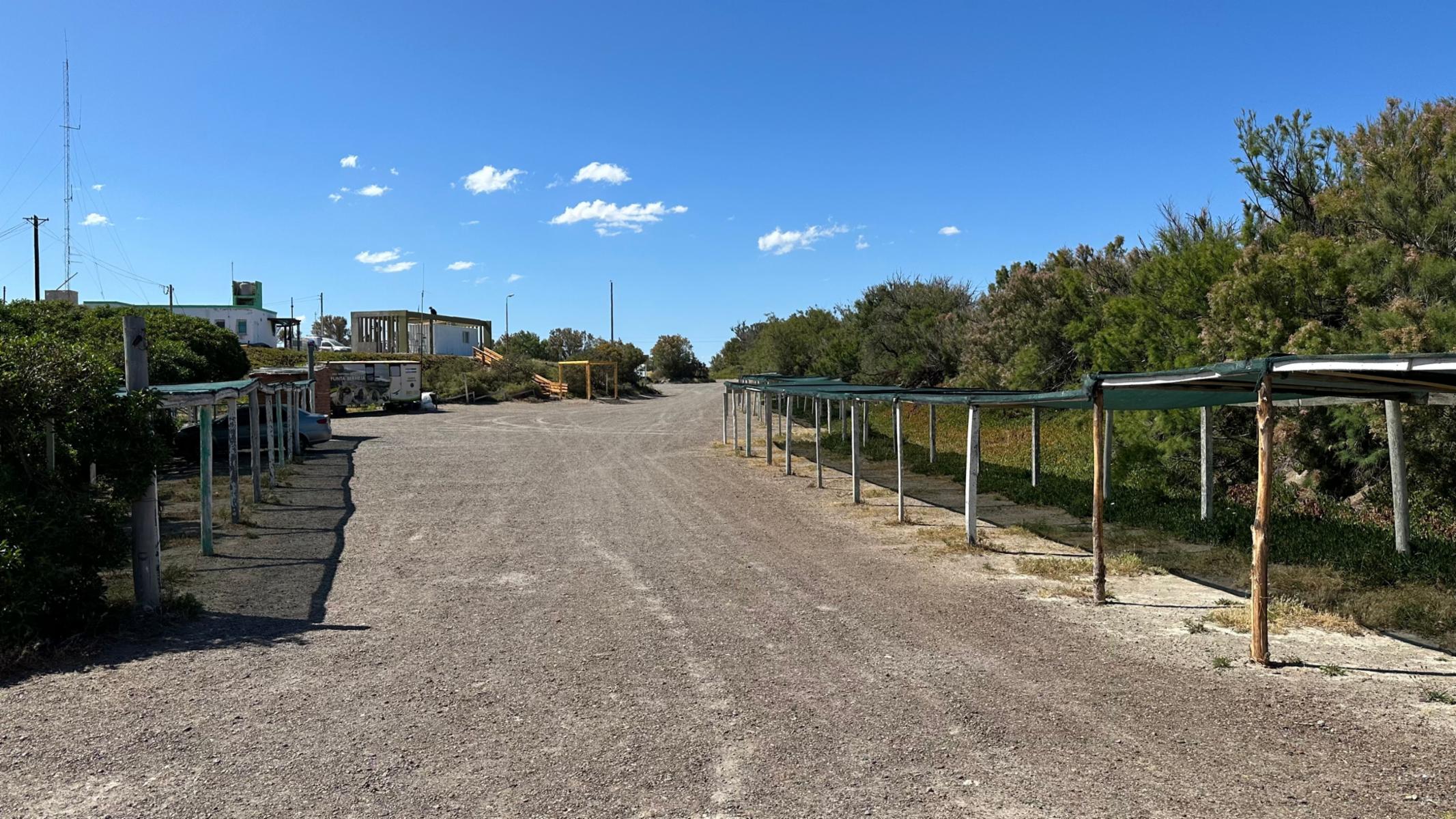 CENTRO · Adolfo Alsina — foto 16