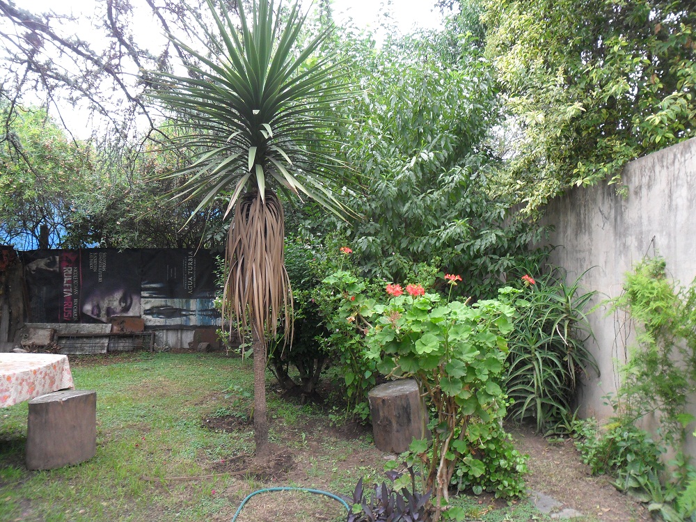 Francia · Moreno — foto 5