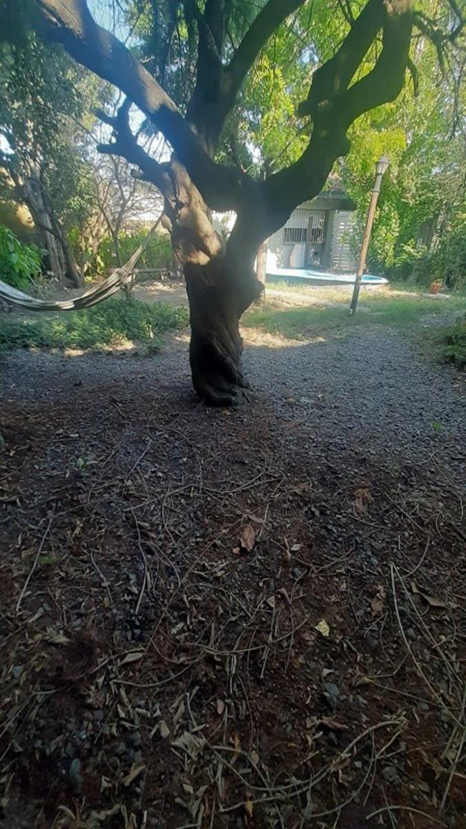 FELIX LORA 1485 · Almirante Brown — foto 51