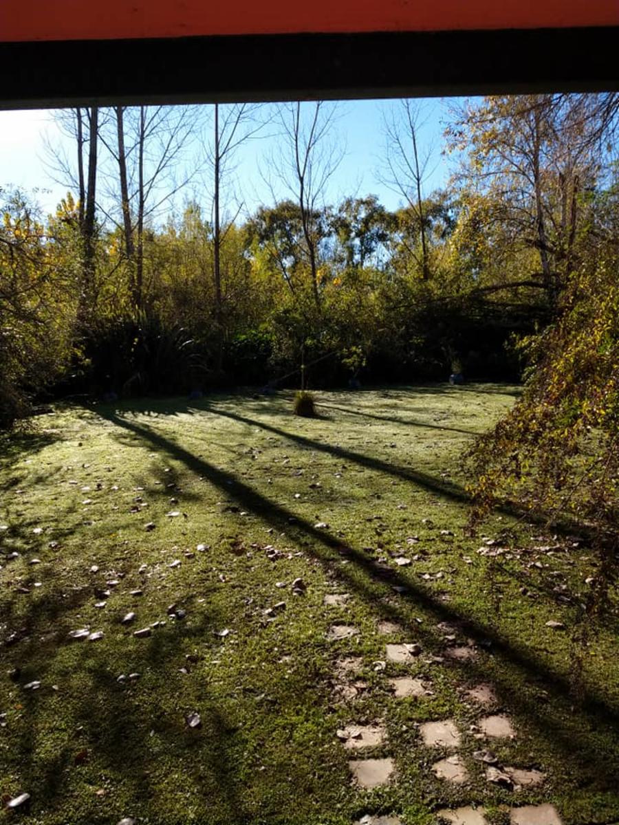 Arroyo Toro y Galvez · Tigre — foto 10