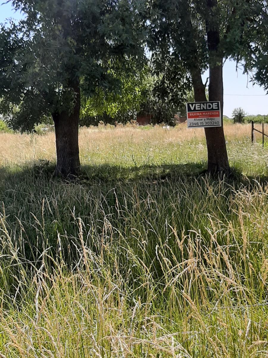 Imperdible 2 lotes en Calle 92