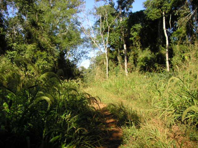 MUY BUEN CAMPO EN VENTA.