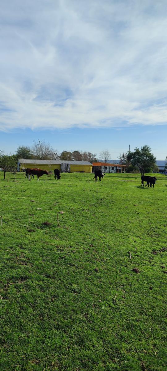 RUTA 130 KM 5.5 · Colón — foto 6