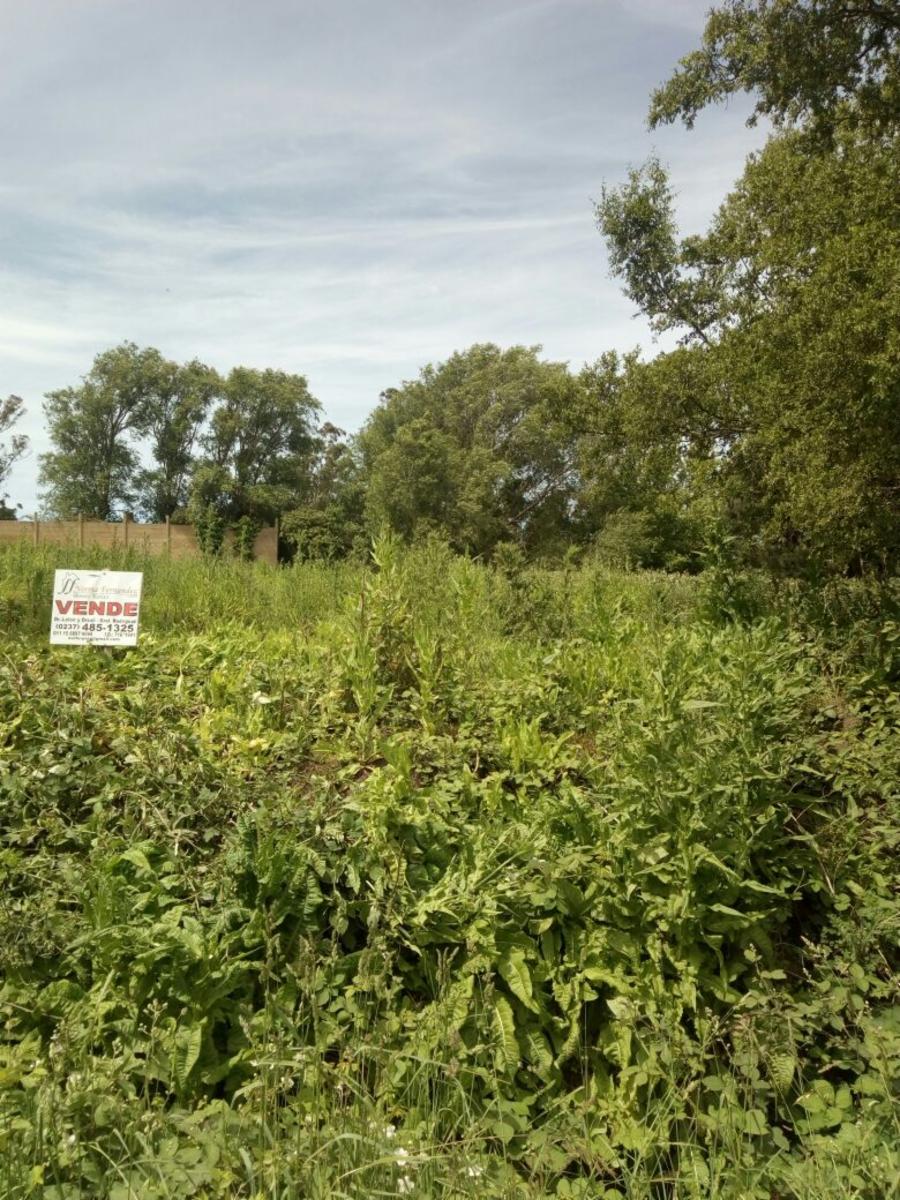 ¡OPORTUNIDAD HERMOSO LOTE DE TERRENO EN SIERRA DE LOS PADRES