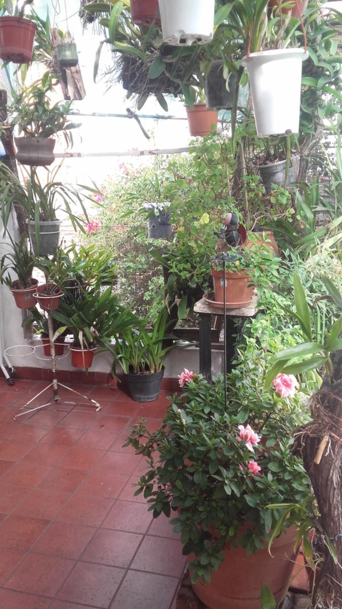 Pellegrini 6000 · San Martín — foto 9