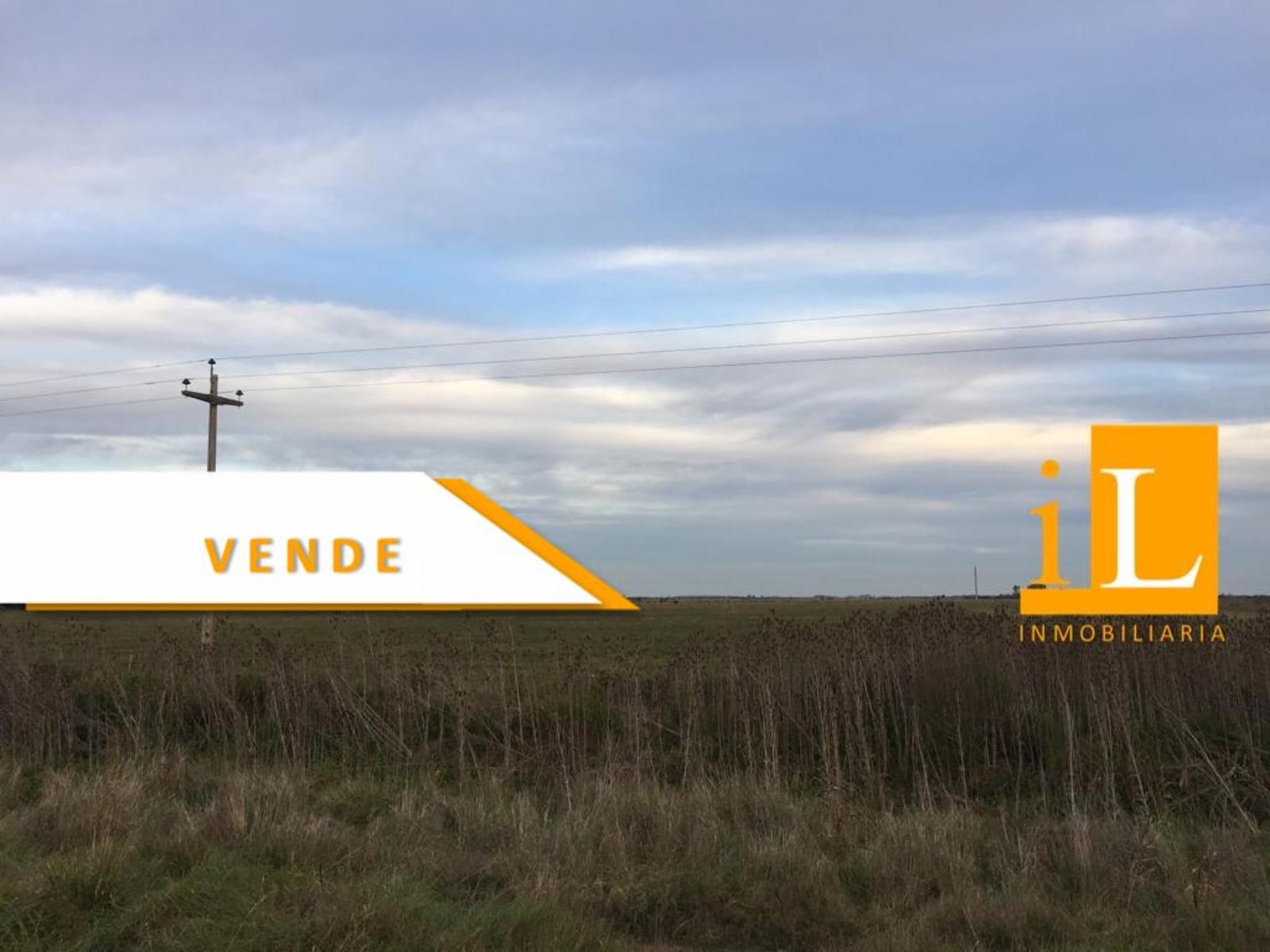 Ruta 215 · Brandsen — foto 4