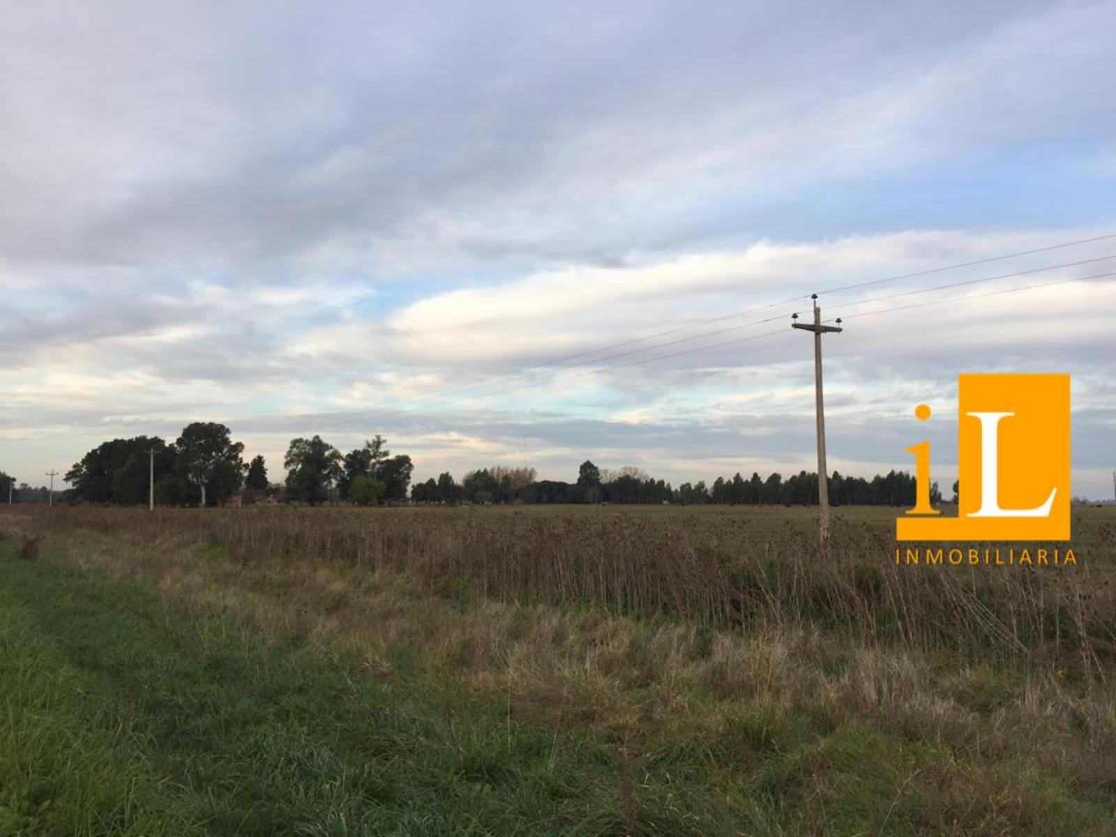 Ruta 215 · Brandsen — foto 5