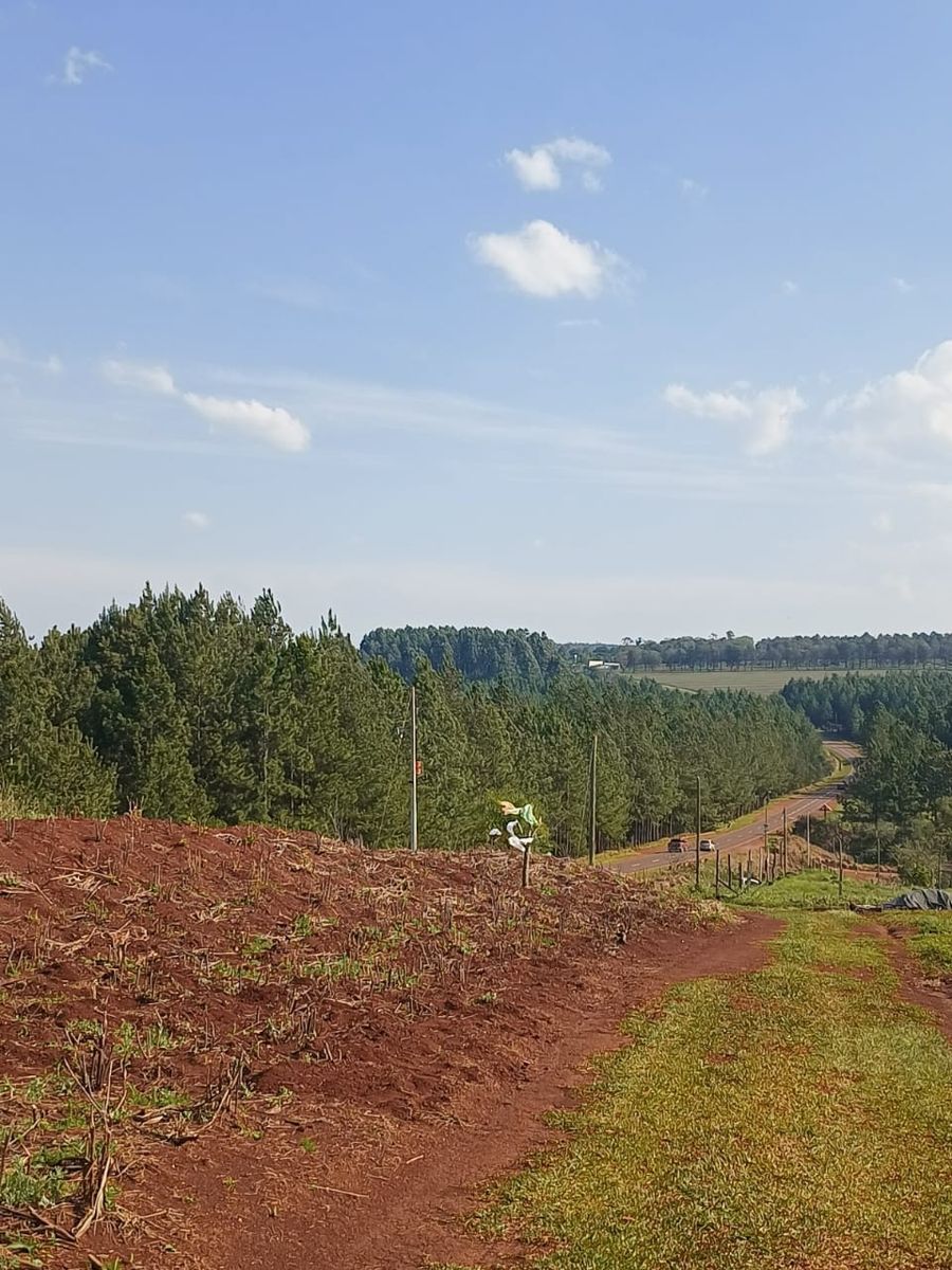 Ruta Provincial 103 Campo Ramon · Oberá — foto 3