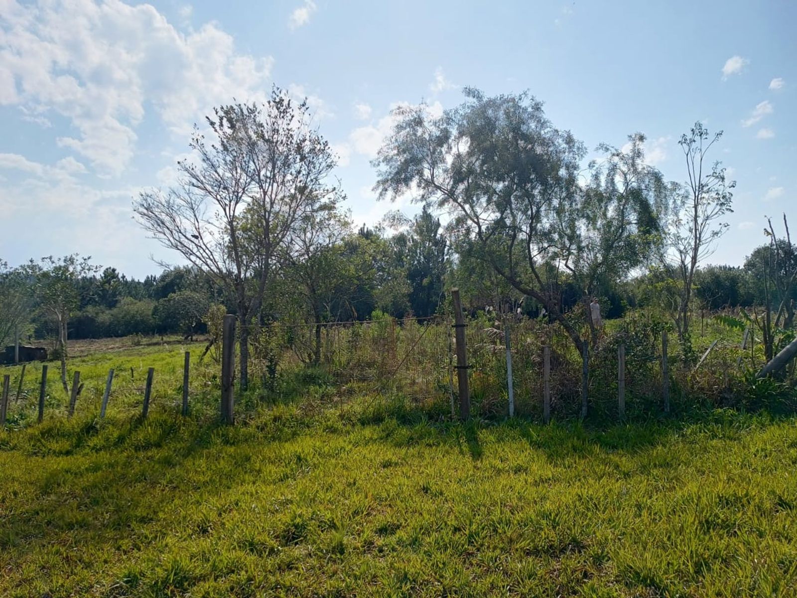 Ruta Provincial 103 Campo Ramon · Oberá — foto 5