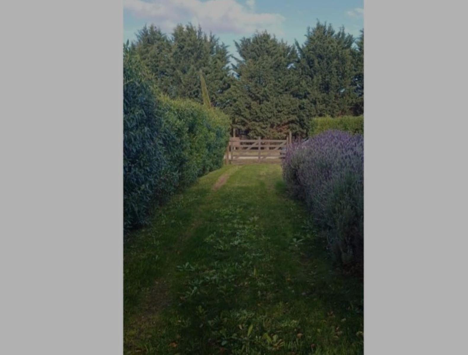 VENDO CASA 4 AMB CAMPESTRE (MDP) · General Pueyrredon — foto 8