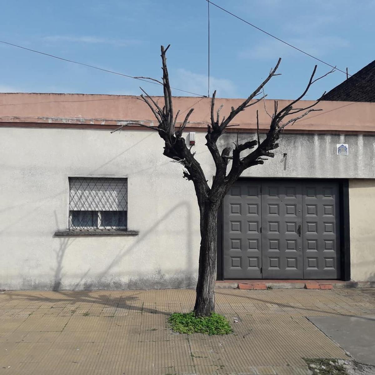 BROWN 3053 · La Matanza — foto 8