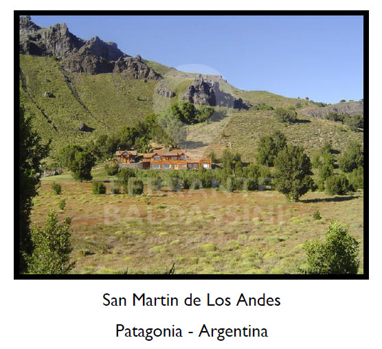 SAN MARTIN DE LOS ANDES - EXCEPCIONAL PROPIEDAD EN LA MONTAÑA. UNICA ,PARADISIACA !!! En VENTA. 74 Hectáreas, un arroyo, unas vertientes y bosque nativo. Vistas Imponentes e Increíbles a la montaña . 