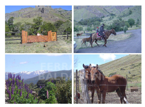 a 16 km del centro de San Martín de los Andes · Lacar — foto 13