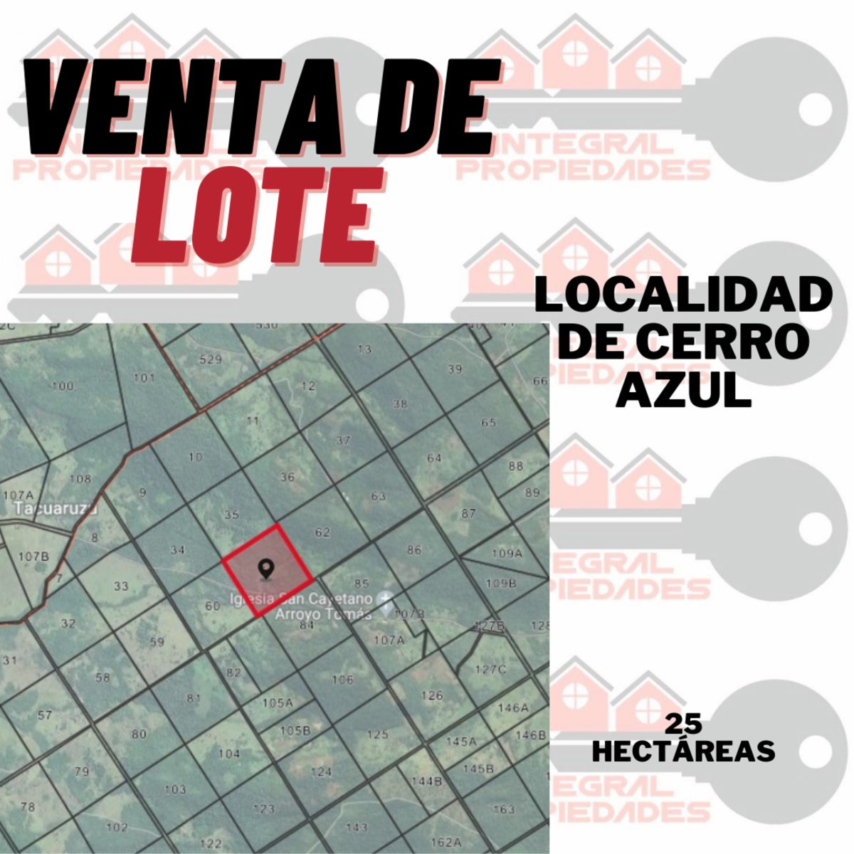LOTE 271 - CERRO AZUL