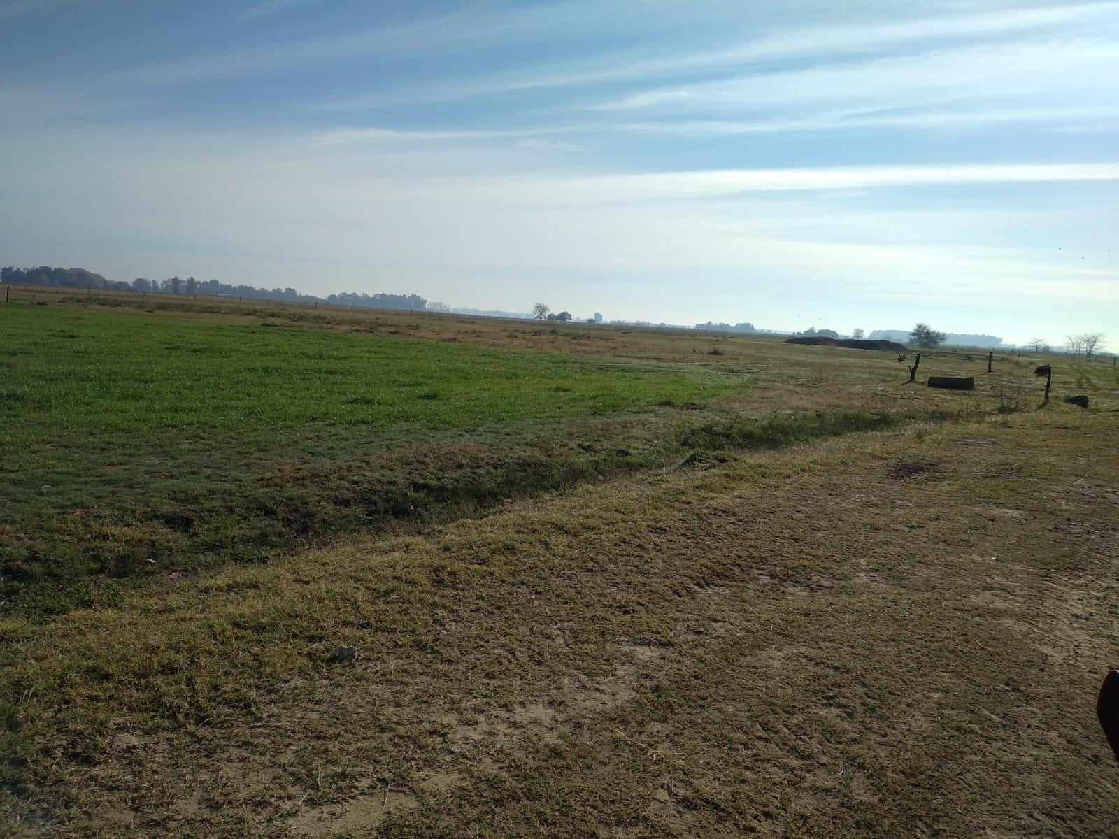 CAMINO DE LAS LATAS · San Vicente — foto 3