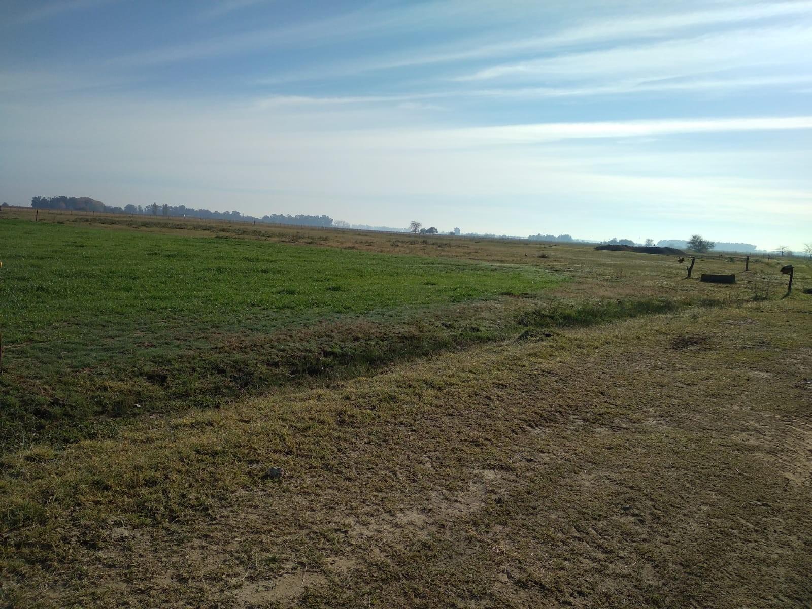 CAMINO DE LAS LATAS · San Vicente — foto 4