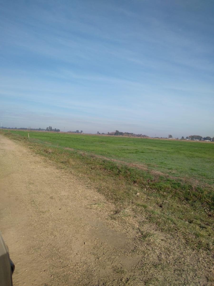 CAMINO DE LAS LATAS · San Vicente — foto 5