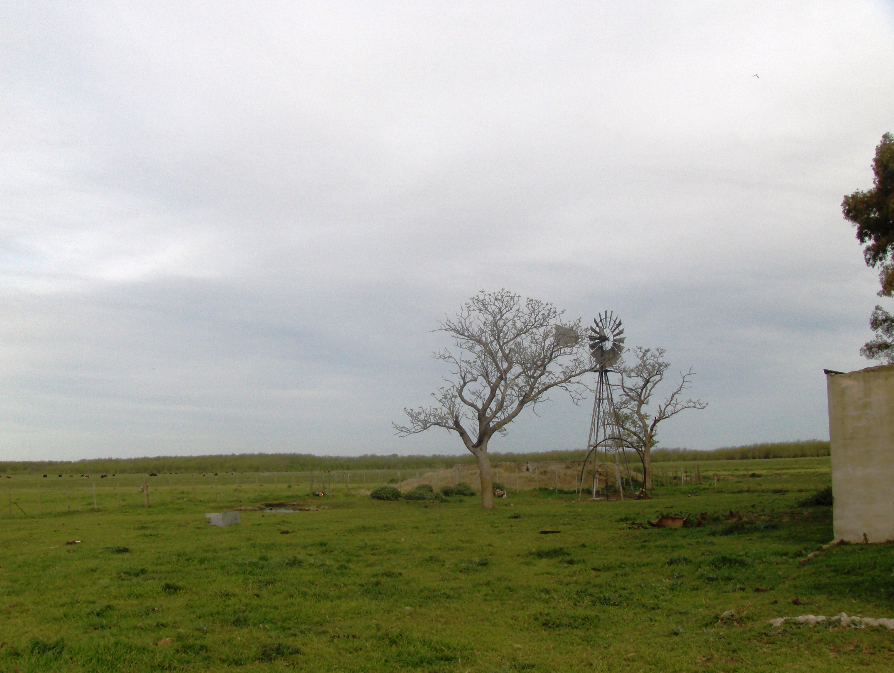 Ruta 3 km 220, a 12 km de ruta · Las Flores — foto 3
