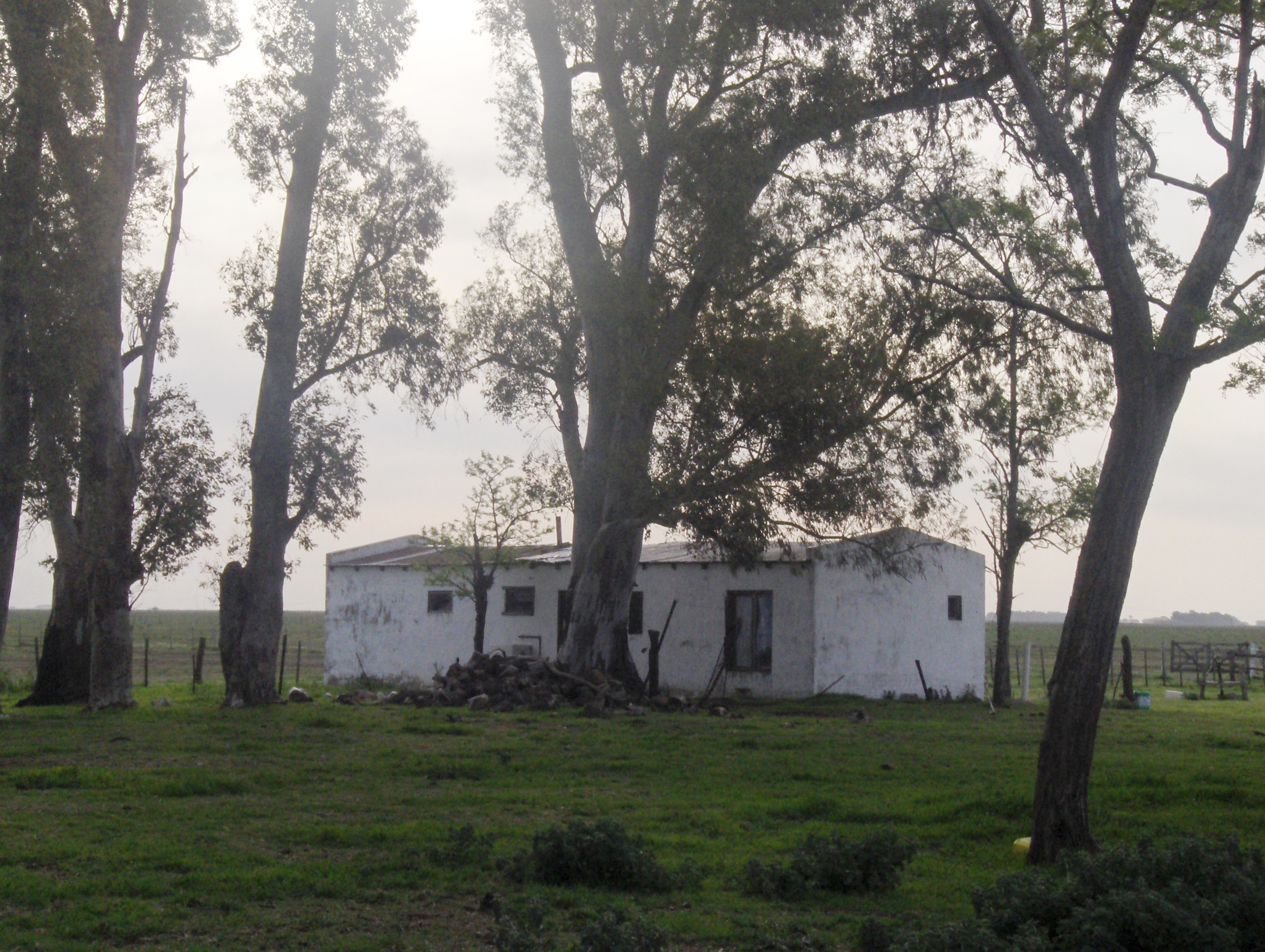 Ruta 3 km 220, a 12 km de ruta · Las Flores — foto 7
