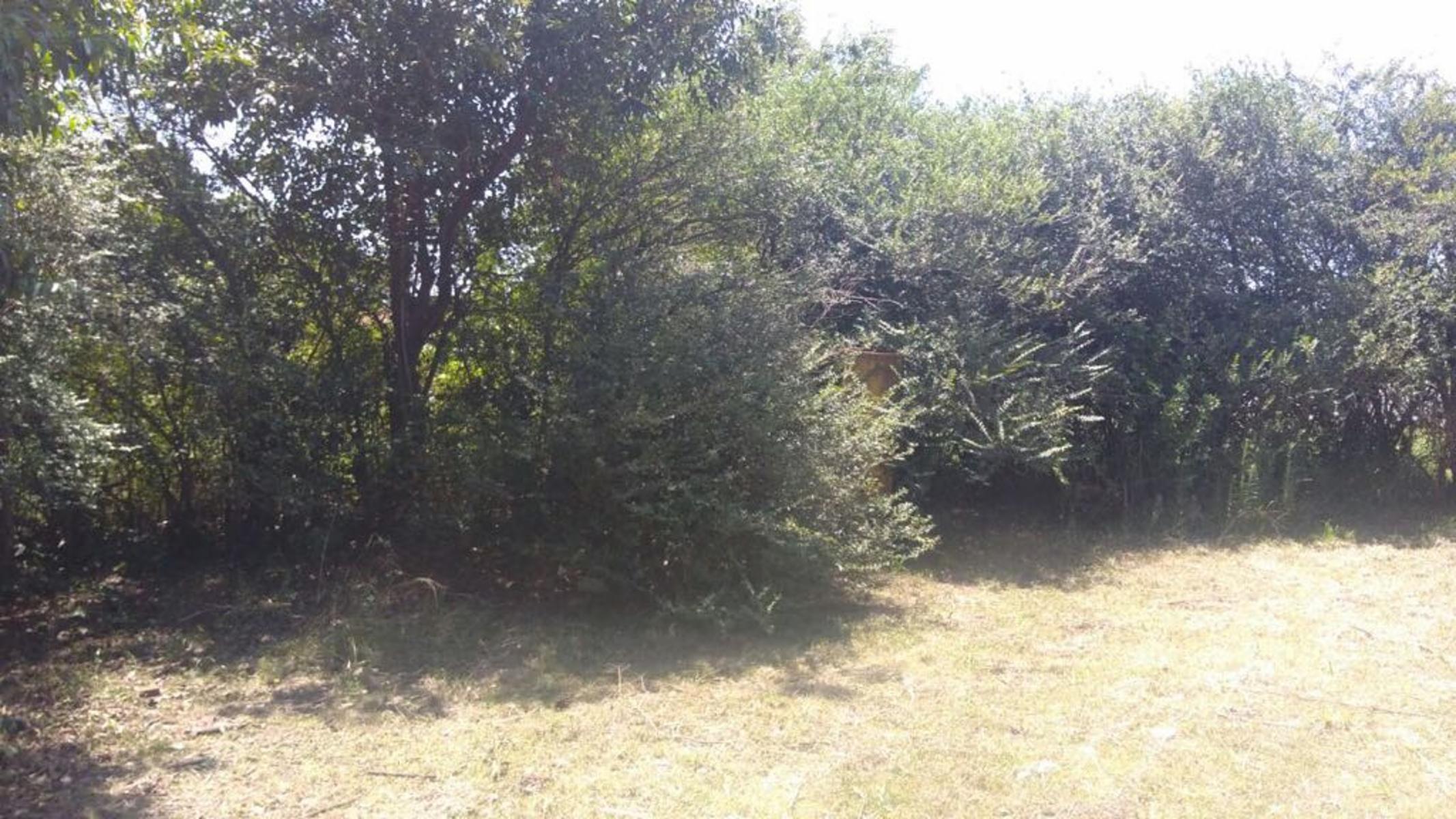 Villa La Ribera · San Lorenzo — foto 6