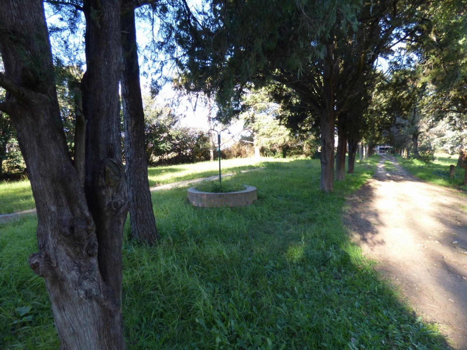Rodolfo Moreno 2300 · Luján — foto 7