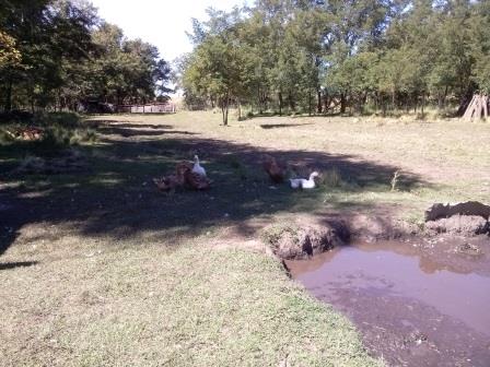 Ruta Vilorco 200 · Coronel Pringles — foto 12