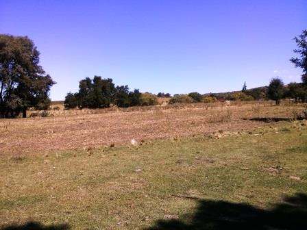Ruta Vilorco 200 · Coronel Pringles — foto 3