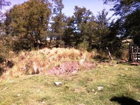 Ruta Vilorco 200 · Coronel Pringles — foto 22