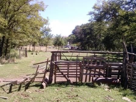 Ruta Vilorco 200 · Coronel Pringles — foto 23