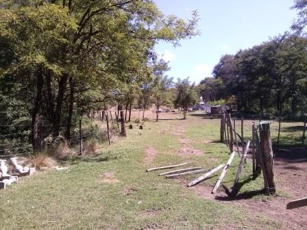 Ruta Vilorco 200 · Coronel Pringles — foto 24