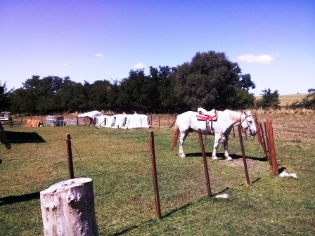 Ruta Vilorco 200 · Coronel Pringles — foto 4