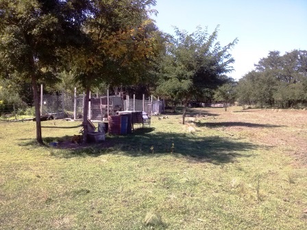 Ruta Vilorco 200 · Coronel Pringles — foto 6