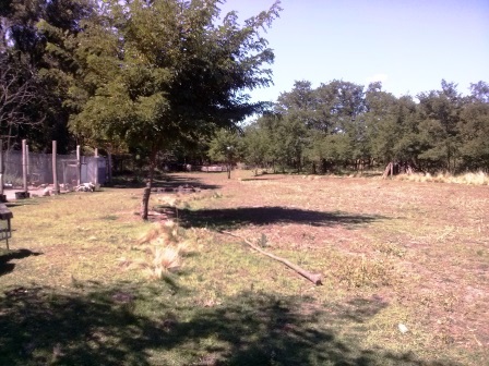 Ruta Vilorco 200 · Coronel Pringles — foto 8