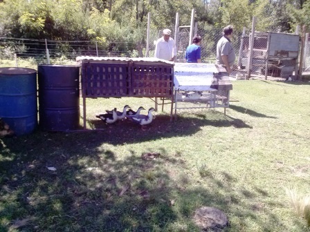 Ruta Vilorco 200 · Coronel Pringles — foto 10