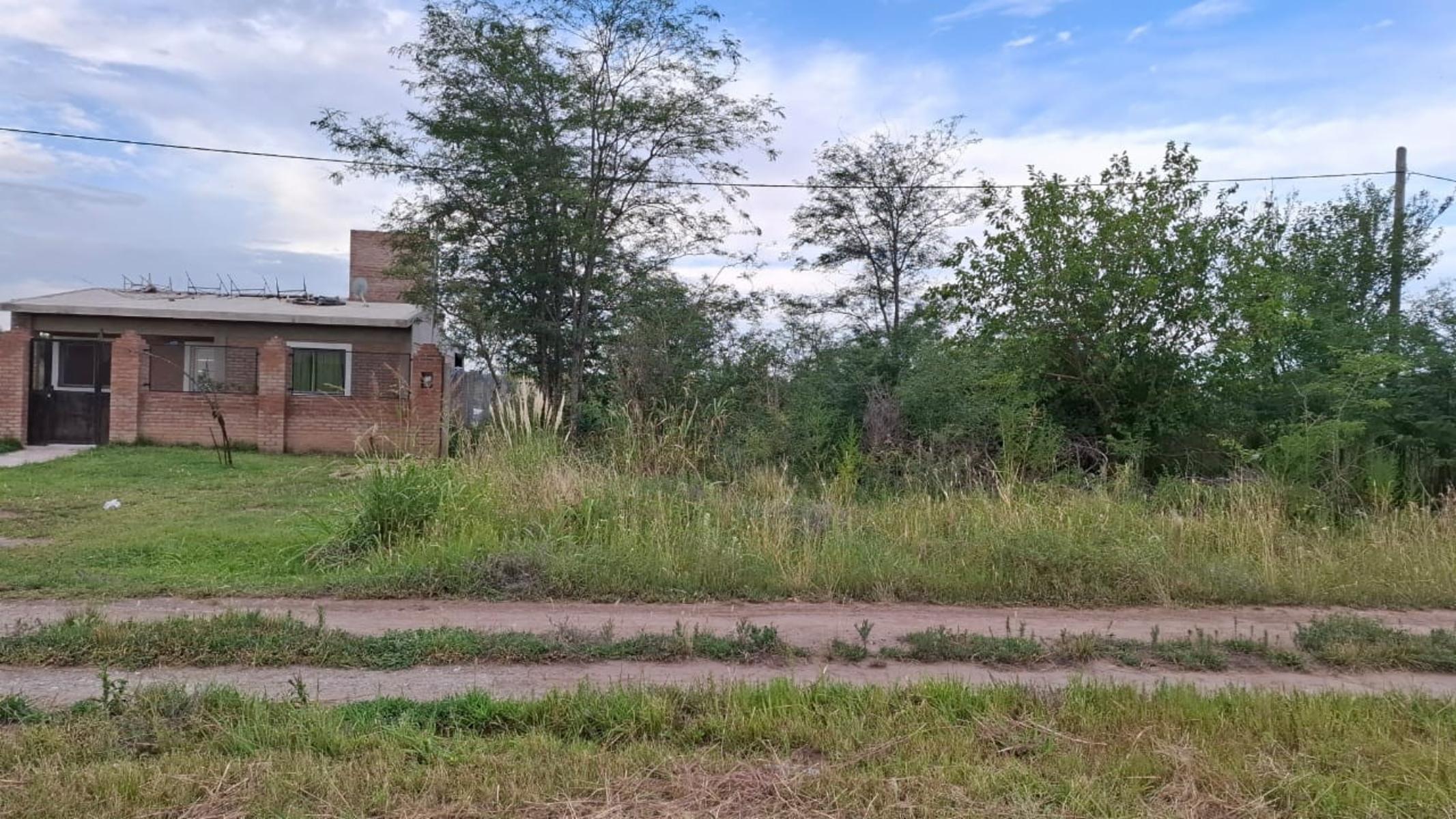 ANISACATE · Santa María — foto 3