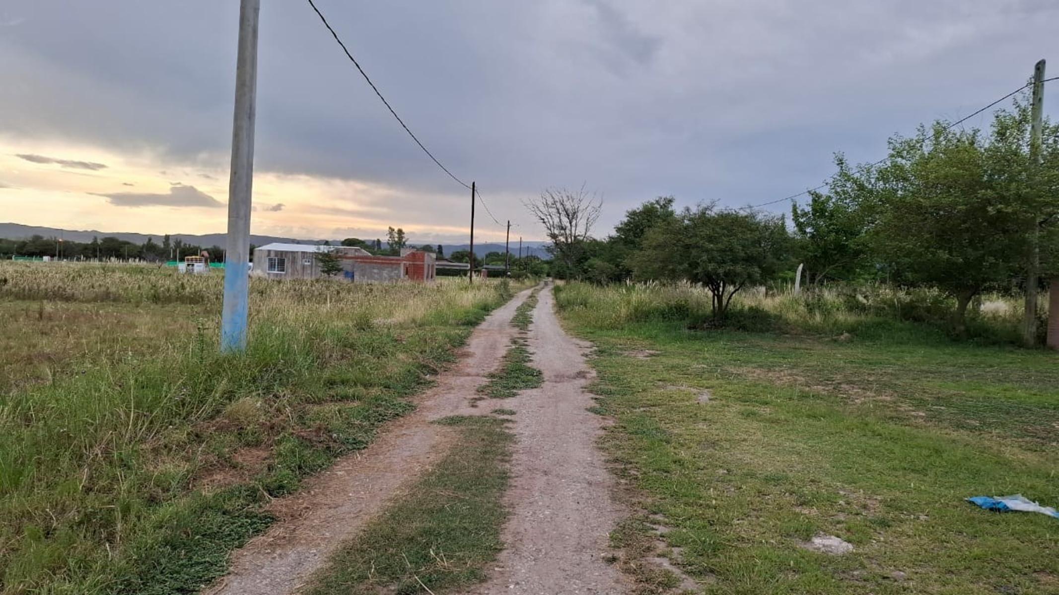 ANISACATE · Santa María — foto 5