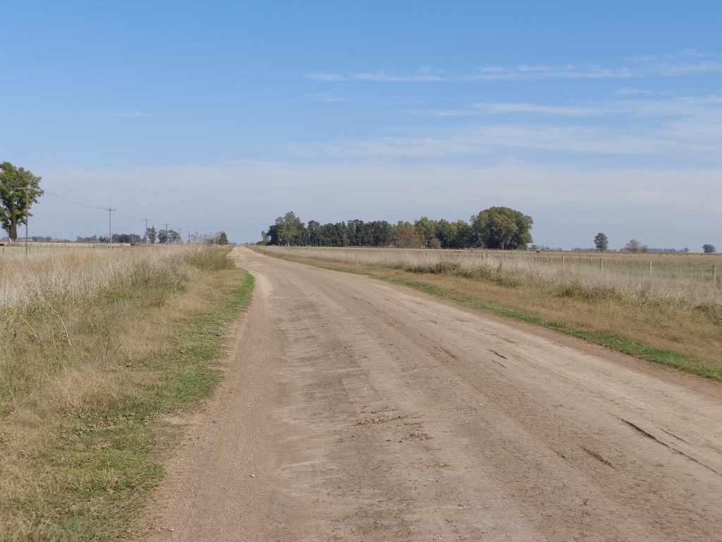campo