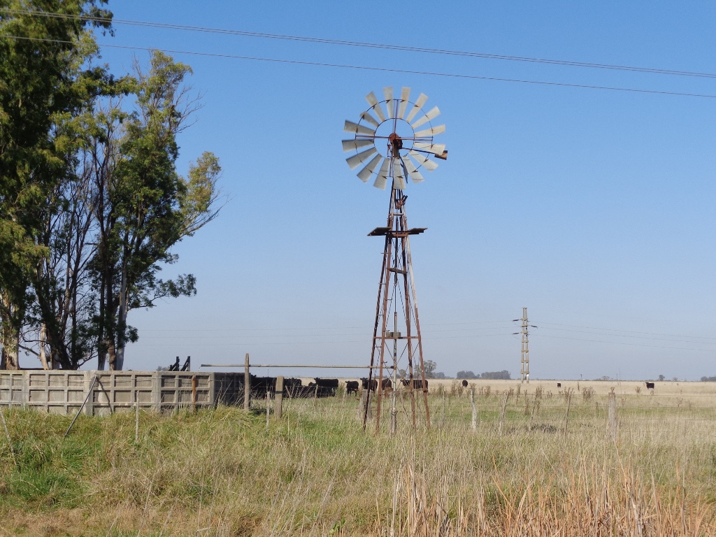 Ruta 3 km 212, a 6km de ruta · Las Flores — foto 4