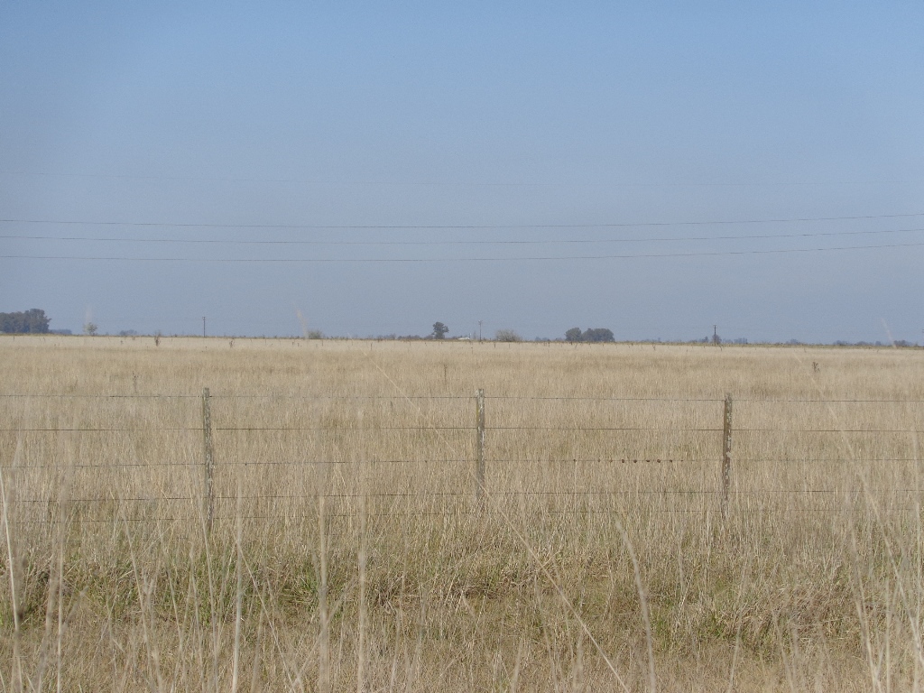 Ruta 3 km 212, a 6km de ruta · Las Flores — foto 8